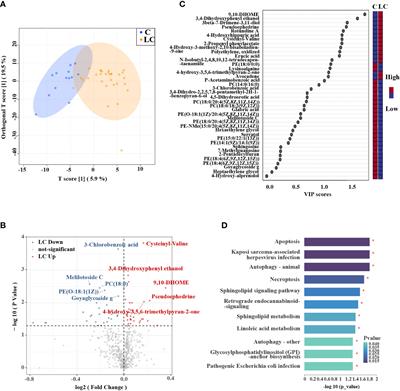 Characterizing microbiota and metabolomics analysis to identify candidate biomarkers in lung cancer